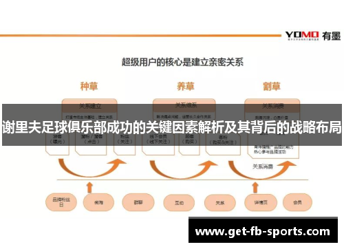 谢里夫足球俱乐部成功的关键因素解析及其背后的战略布局