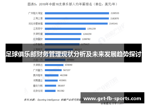 足球俱乐部财务管理现状分析及未来发展趋势探讨