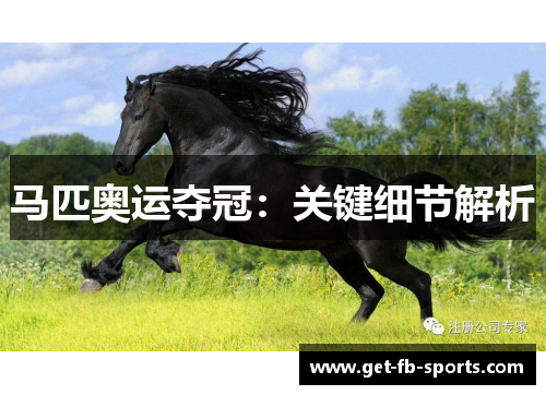 马匹奥运夺冠：关键细节解析